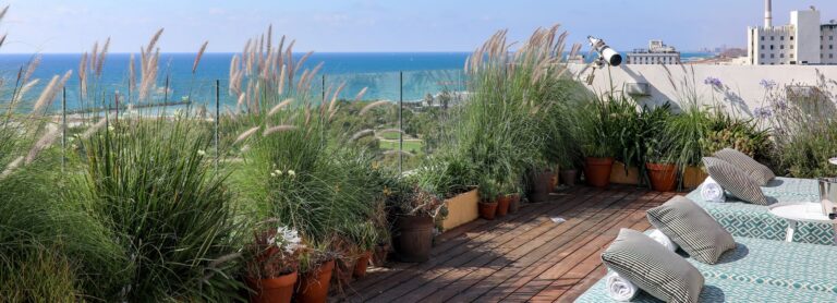 מבט על הגג ב- מלון מלודי תל אביב עם מיטות שיזוף צמחיה ומבט אל הים